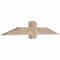 Ekena Millwork Eugene Smooth Timber Gable Bracket, Douglas Fir, 60"W x 10"H x 3 1/2"D x 5 1/2"F, 4/12 Pitch GBW060X10X0406EUG00SDF - alternate 2